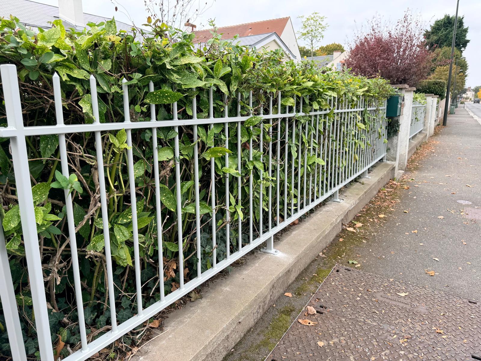 WhatsApp Image 2025-10-13 à 08.46.40_4ec47b0e